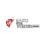 Tennis Interclub Sticker by Tennisenpadelvlaanderen