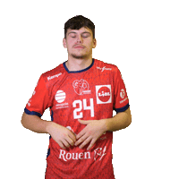 Sport Handball Sticker