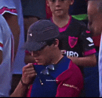 Football Fan GIF