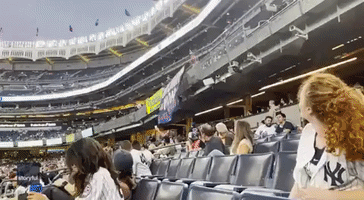 Men Ejected From Yankee Stadium After Unveiling 'Trump Won' Banner