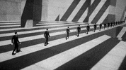 Black And White Geometry GIF by Tears For Fears