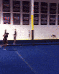 Tumbling World Champion GIF