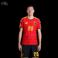 Fifa World Cup Uefa GIF by Respective
