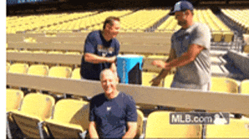 ice bucket challenge stadium GIF by MLB