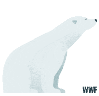 Polar Bear Christmas Sticker by WWF_UK