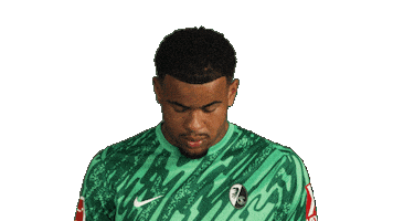 Look Up Sc Freiburg Sticker by Bundesliga