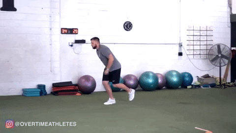giphygifmaker GIF