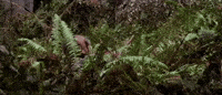 return of the jedi episode 6 GIF by Star Wars