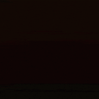 Egonauts hello hi crypto good morning GIF