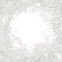 Christmas Wish Sticker by thebicestervillagecollection