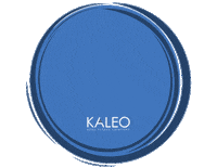 home realtor Sticker by KALEO Real Estate Company