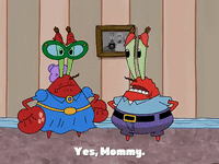 season 3 the great snail race GIF by SpongeBob SquarePants