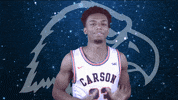 College Basketball GIF by Carson-Newman Athletics
