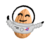 Space Fruit Sticker