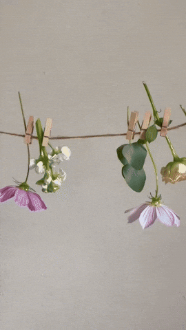 drgreenlab giphyupload GIF