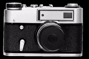 Camera Flash GIF by April Ford
