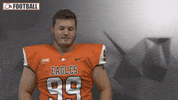 Cnfb GIF by Carson-Newman Athletics