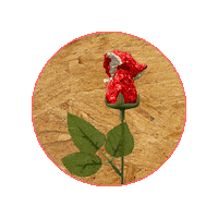 collectifpierreetmarie art rose pierreetmarie lespaysagesrevolutionnaires Sticker