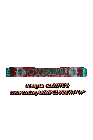 Wales Football Sticker by UltrasInPeluze
