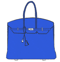 purse birkin Sticker by popsugar