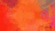 holi raanjhanaa GIF