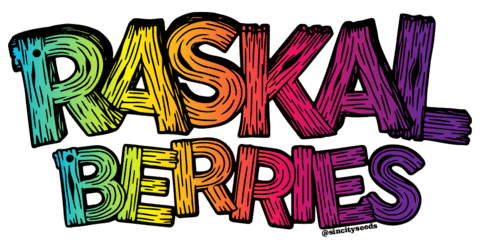 Raskalberries Sticker by SinCity-Style