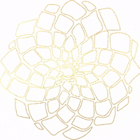 supportsandyvo prosperous sandyvo prosperouspodcast GIF