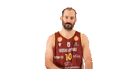 Sport Koripallo Sticker by Basket_fi