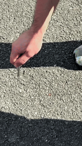 UltimateCricket cricket road cricketer GIF