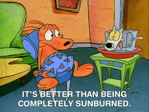 rockos modern life nicksplat GIF