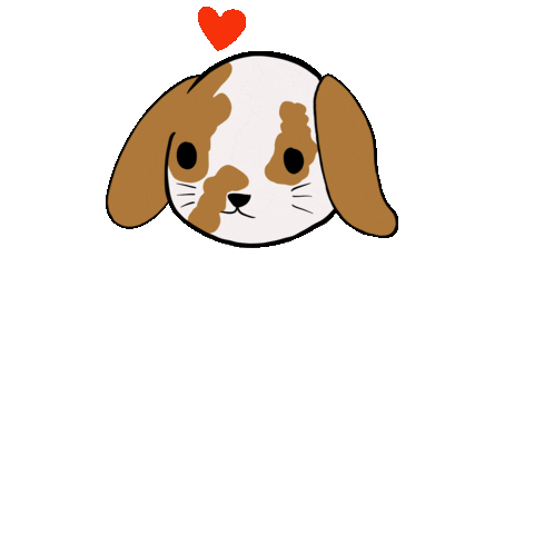 perritofrito giphyupload pua whiterabbit belier Sticker