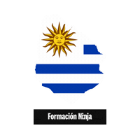 Flag Bandera Sticker by Formación Ninja