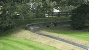 Theme Park Lol GIF by Where's My Challenge?