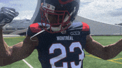 Montreal Alouettes Football GIF by Alouettes de Montréal