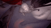 adult swim dancing GIF by rolfes