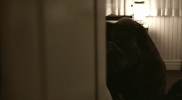 thirtysecondstomars 30 seconds to mars the kill GIF