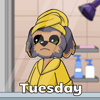 Dog Tuesday GIF by BoDoggos