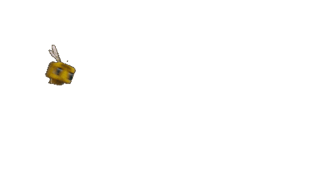 Bee Sticker by Warner Bros. Pictures