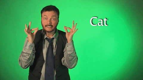 sign language cat GIF by Sign with Robert