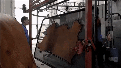 songsususu giphygifmaker GIF