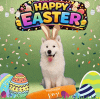 Bunny Easter GIF