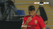 Sl Benfica Gabriel GIF by Sport Lisboa e Benfica