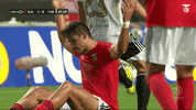 Sl Benfica Gabriel GIF by Sport Lisboa e Benfica