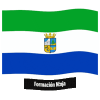 Bandera Malaga Sticker by Formación Ninja
