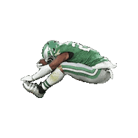 Philadelphia Eagles Sticker