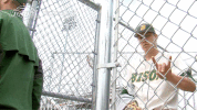 north dakota state baseball GIF by NDSU Athletics