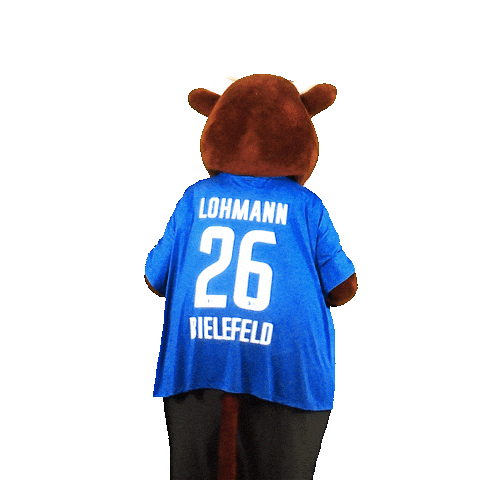 Point Mascot Sticker by DSC Arminia Bielefeld