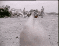 over there pointing GIF by dani