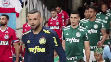 arena fonte nova time GIF by SE Palmeiras
