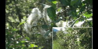 Climate Change Education GIF by DIIMSA Stock